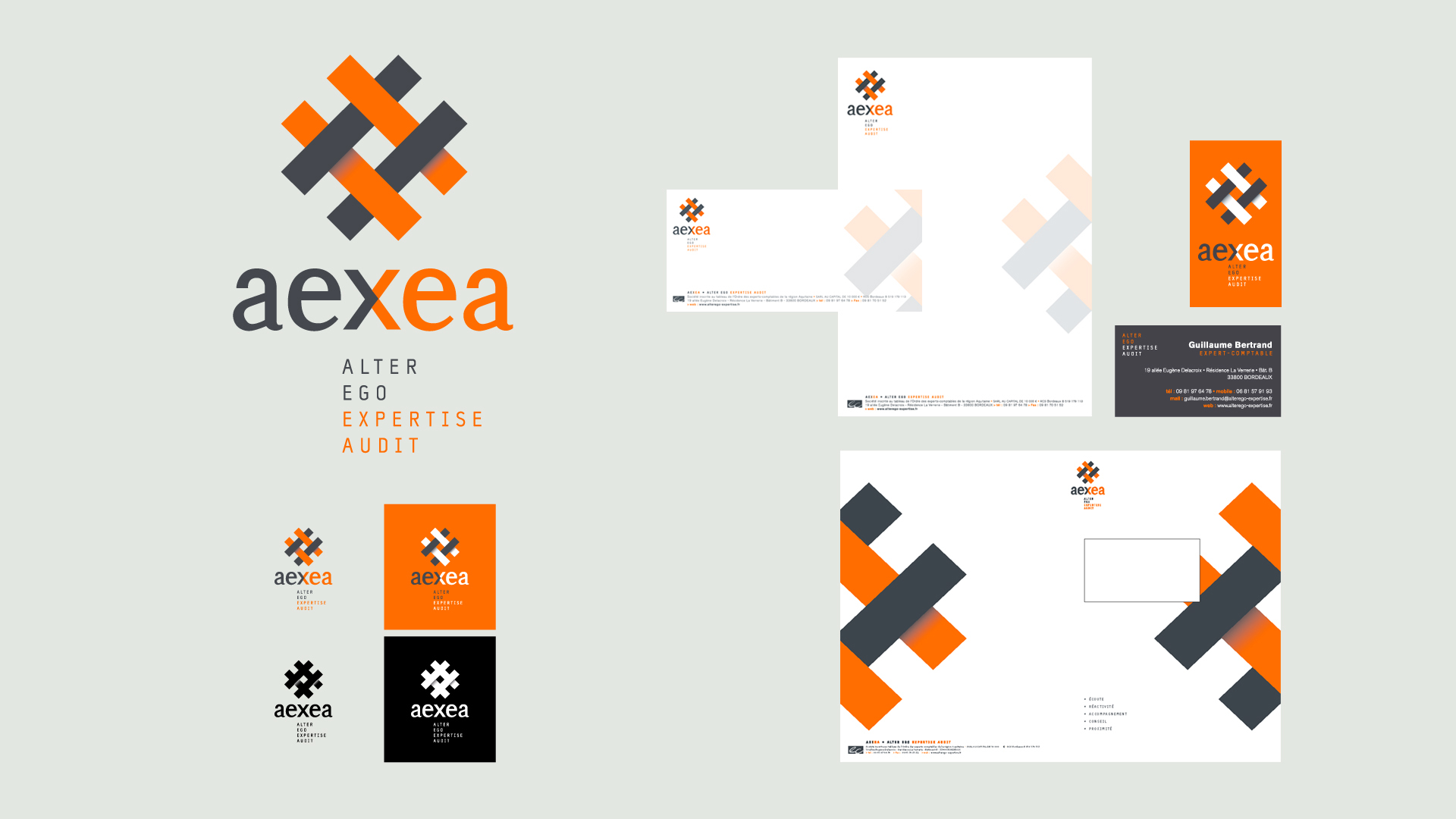 AeXea Alter Ego - expertise Audit conception / création graphique, direction artistique, graphisme © christophe andrusin @ pommecpommev