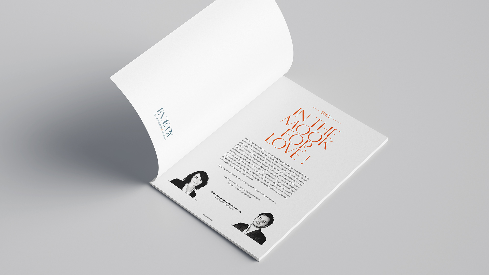 Endermook magazine édition direction artistique design graphique christophe andrusin