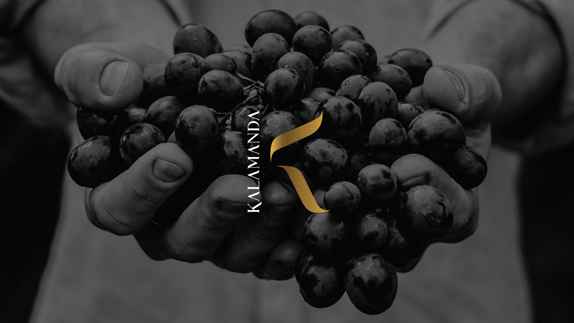 KALAMANDA Wine Australie Chili Brand design Packaging label logotype charte graphique pour un vignoble étiquette de vin | Direction artistique & design graphique Christophe Andrusin agence pommecpommev